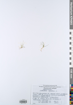 KPABG044334