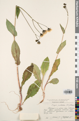 KPABG044353