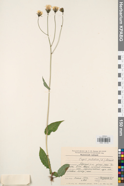KPABG044355