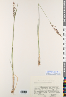 KPABG044378