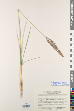 KPABG044381