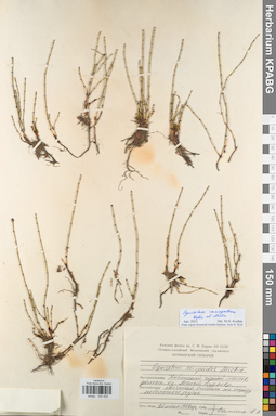 KPABG044429