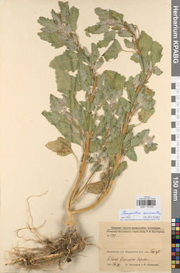 KPABG044448