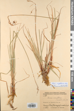 KPABG044454