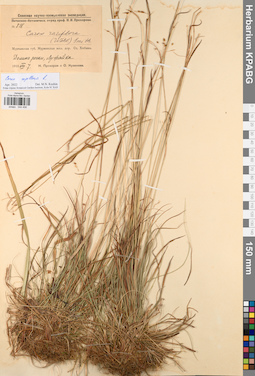 KPABG044456