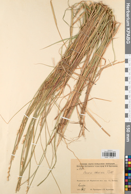 KPABG044457