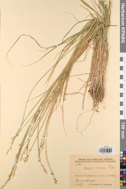 KPABG044459