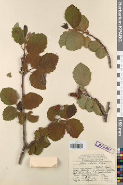 KPABG044480