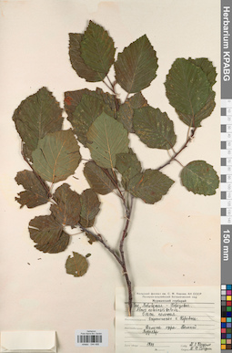KPABG044488