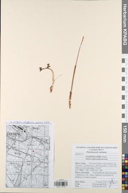 KPABG044491