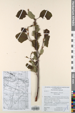 KPABG044520