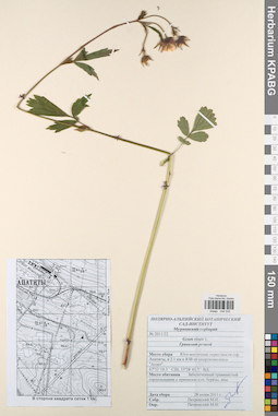 KPABG044535