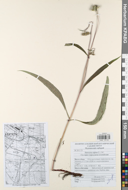 KPABG044536