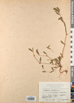 KPABG044544