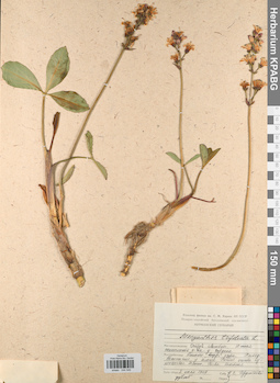 KPABG044549