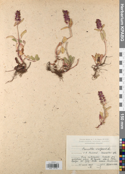 KPABG044553