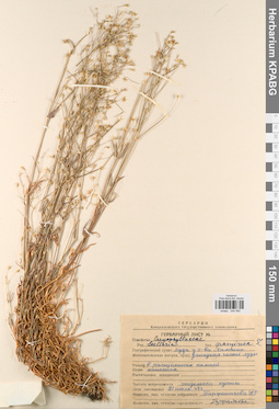 KPABG044565