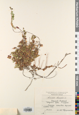 KPABG044597