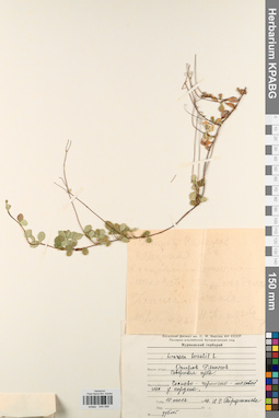 KPABG044599