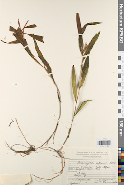 KPABG044620