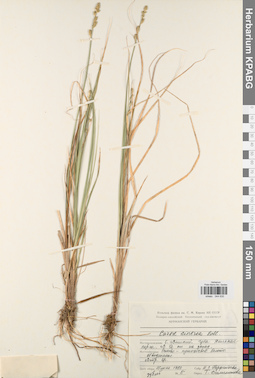 KPABG044630