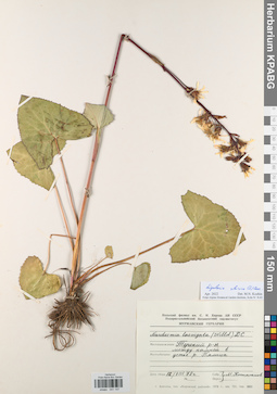 KPABG041147