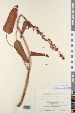 KPABG044739