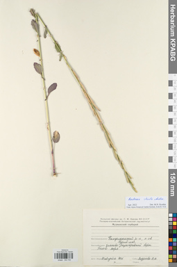 KPABG044740