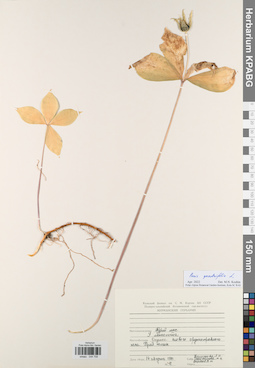 KPABG044758