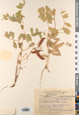 KPABG044792