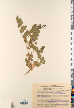 KPABG044801