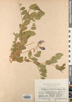 KPABG044807