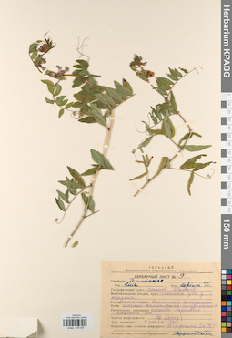 KPABG044835