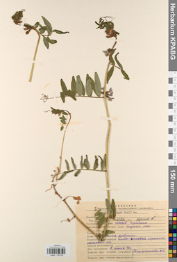 KPABG044836