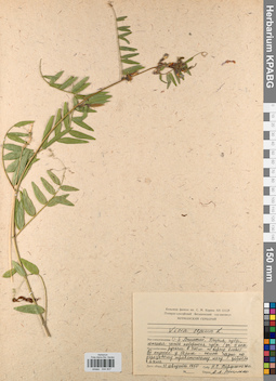 KPABG044837