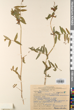 KPABG044842