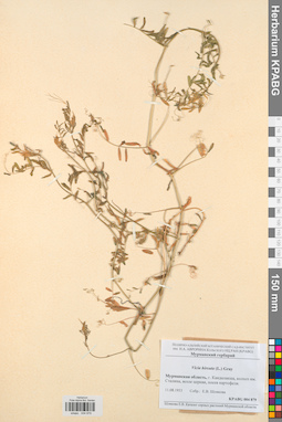 KPABG004879