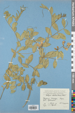 KPABG019363