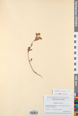 KPABG019674