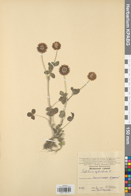 KPABG029770