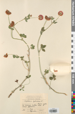 KPABG029779