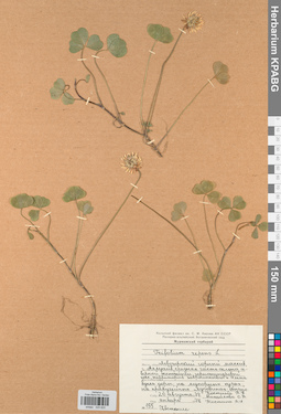 KPABG029820