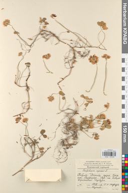 KPABG029828