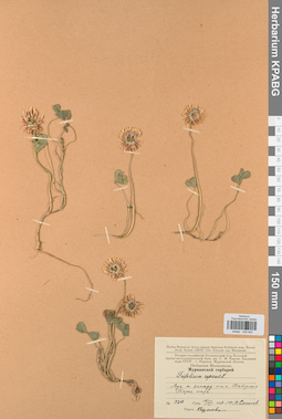 KPABG029845