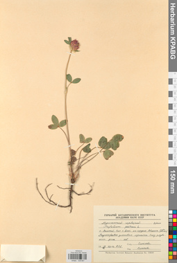 KPABG029857