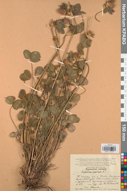 KPABG029877