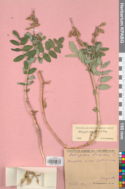 KPABG029975