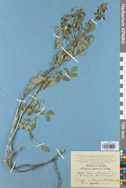KPABG029998