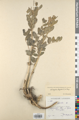 KPABG030018
