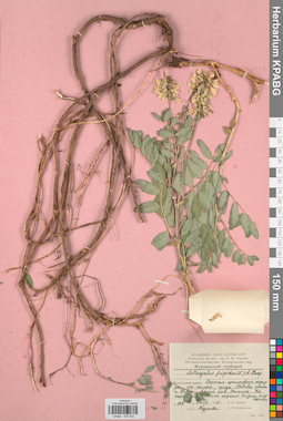 KPABG030022